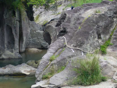 f0067354_2022954.jpg