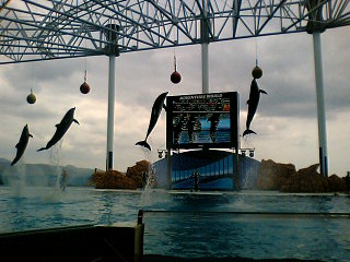 f0015355_031311.jpg