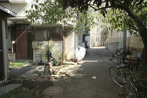 e0072159_1501651.jpg