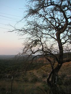 d0008068_248349.jpg