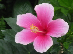 b0039373_1628025.jpg