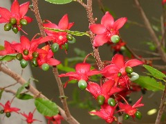 b0039373_16303591.jpg