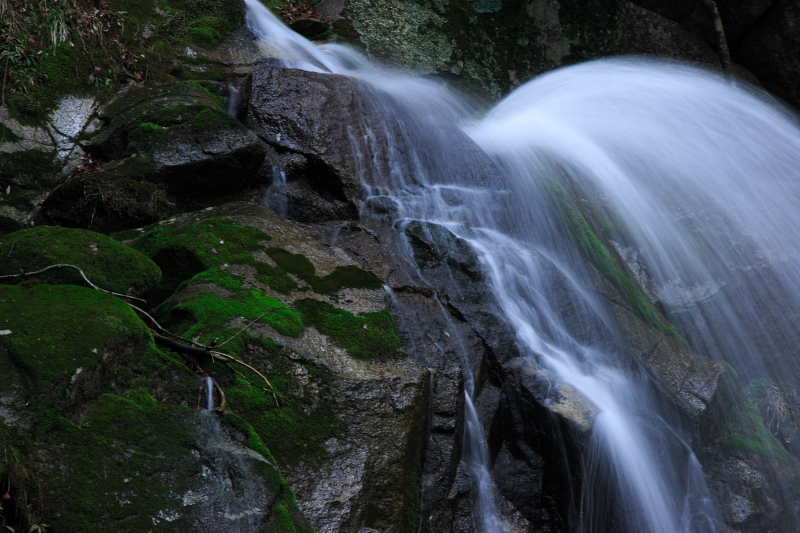 c0030874_944127.jpg