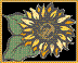 f0003174_2204089.gif