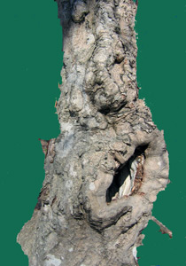 f0101776_22265116.jpg