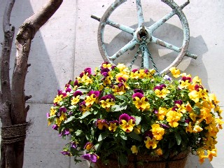 b0073782_0121326.jpg