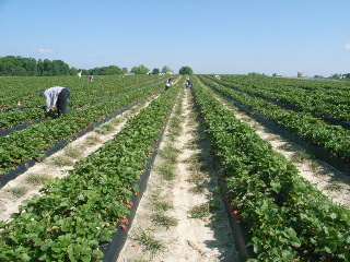 b0001284_023513.jpg