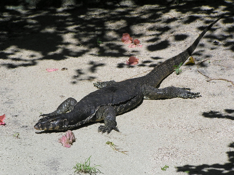 d0034291_21395617.jpg