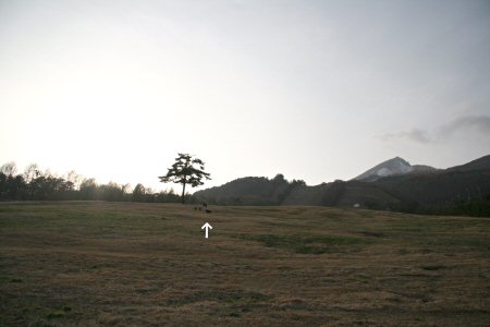 c0050400_22174392.jpg