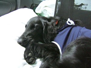c0050400_23502958.jpg