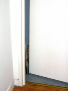 f0041600_0314440.jpg