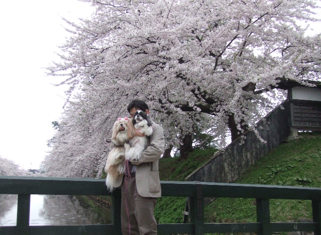 e0050801_7134025.gif