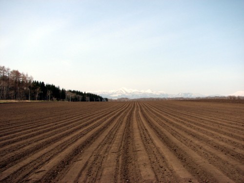 f0020302_12314395.jpg