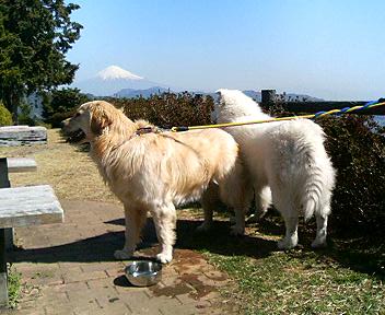 f0025103_15214675.jpg