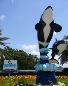 e0070606_7334962.jpg