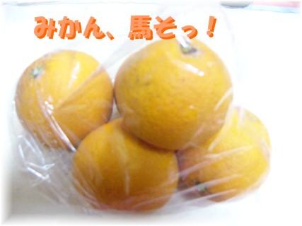f0039907_22395995.jpg