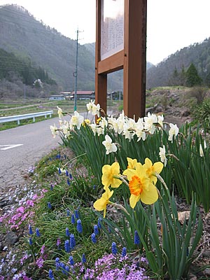a0041508_22431466.jpg