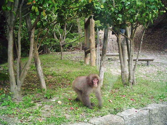 f0079723_17115446.jpg