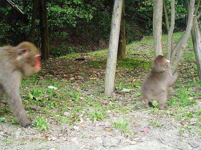 f0079723_1725094.jpg