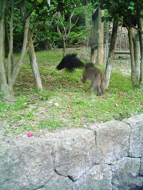 f0079723_1735495.jpg