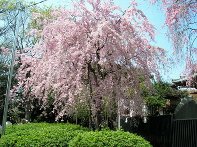 c0045127_23501148.jpg