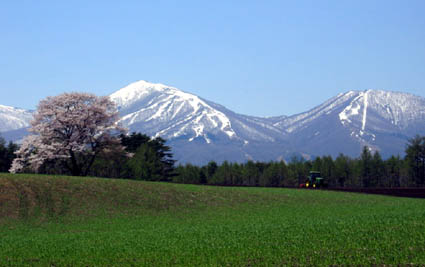 a0020929_22461564.jpg