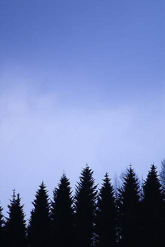 e0025030_11201394.jpg