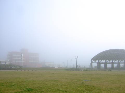 e0006242_1433213.jpg