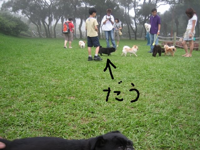 e0018143_16415471.jpg