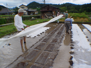e0069646_19115144.jpg
