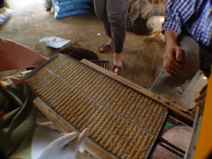 e0069646_1934571.jpg