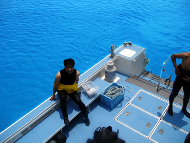 d0065247_036053.jpg