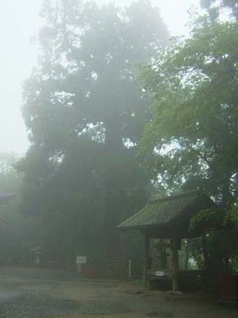 f0000148_23503558.jpg