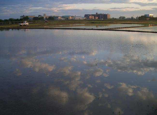 e0002850_22334037.jpg