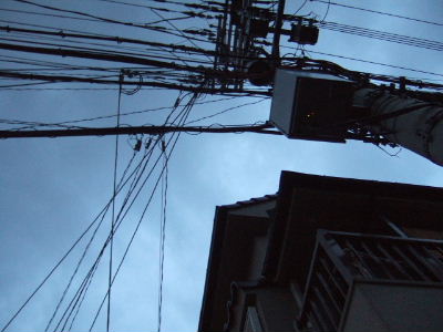 e0088654_852161.jpg