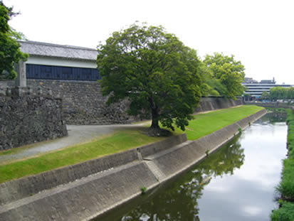 f0067354_19555472.jpg
