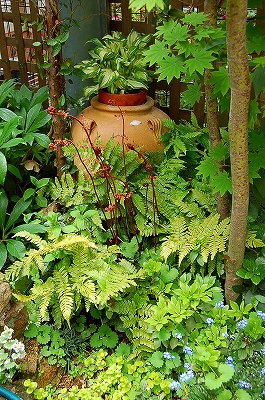e0025655_5562352.jpg