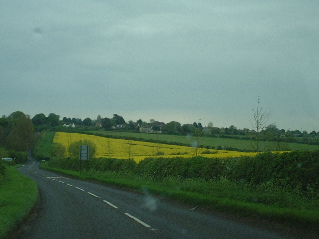 e0078564_3153795.jpg