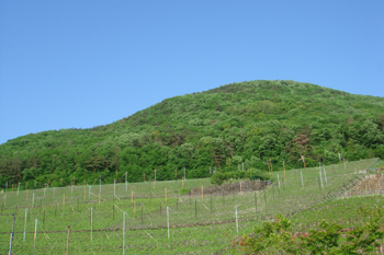 e0001170_22105651.jpg