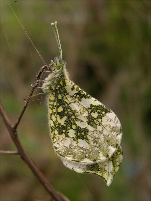 d0009773_16502182.jpg