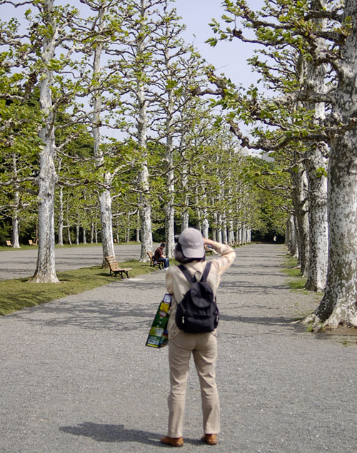 c0009981_6125635.jpg