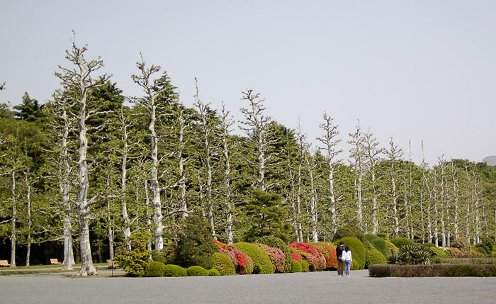 c0009981_69759.jpg