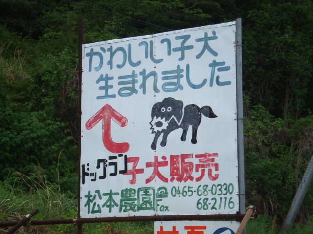 a0067882_19593265.jpg