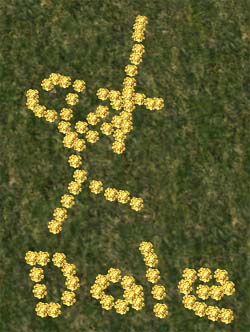 c0056384_13432684.jpg