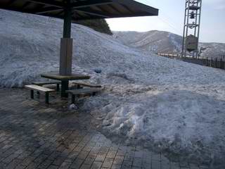 a0040888_14533976.jpg