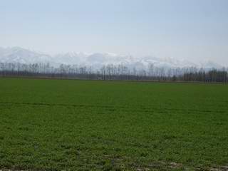 a0040888_15142229.jpg