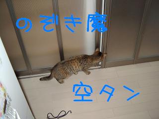 f0081594_16575439.jpg
