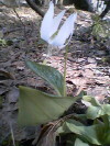 e0049598_154112.jpg