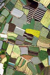 d0041400_9354926.jpg