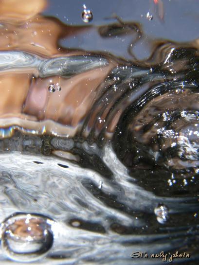 e0008800_023163.jpg